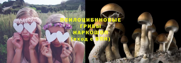 ALPHA PVP Володарск