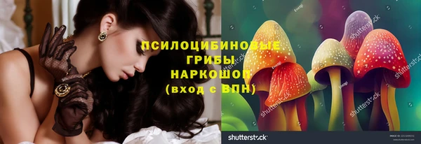 spice Вязники