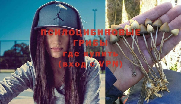 spice Волосово