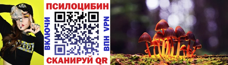 Псилоцибиновые грибы Psilocybine cubensis  гидра   Жуковка 
